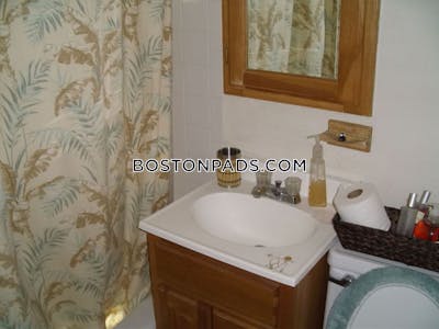 Allston/brighton Border 1 Bed 1 Bath Boston - $2,100