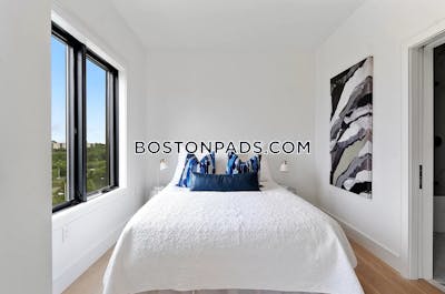 Brighton 2 Bed 2 Bath BOSTON Boston - $5,100