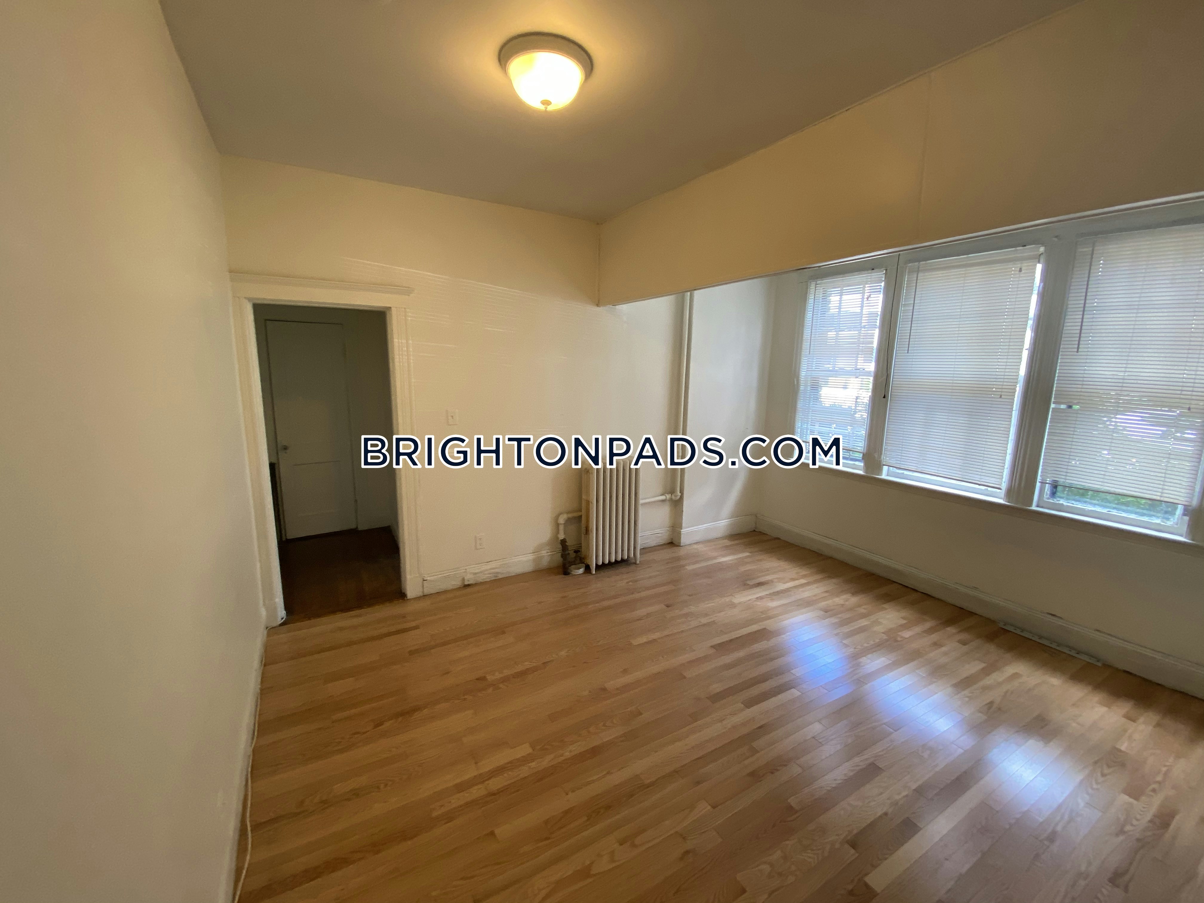 Pet Friendly Apartments Brighton Apartment for rent Studio 1 Bath Boston 1,300