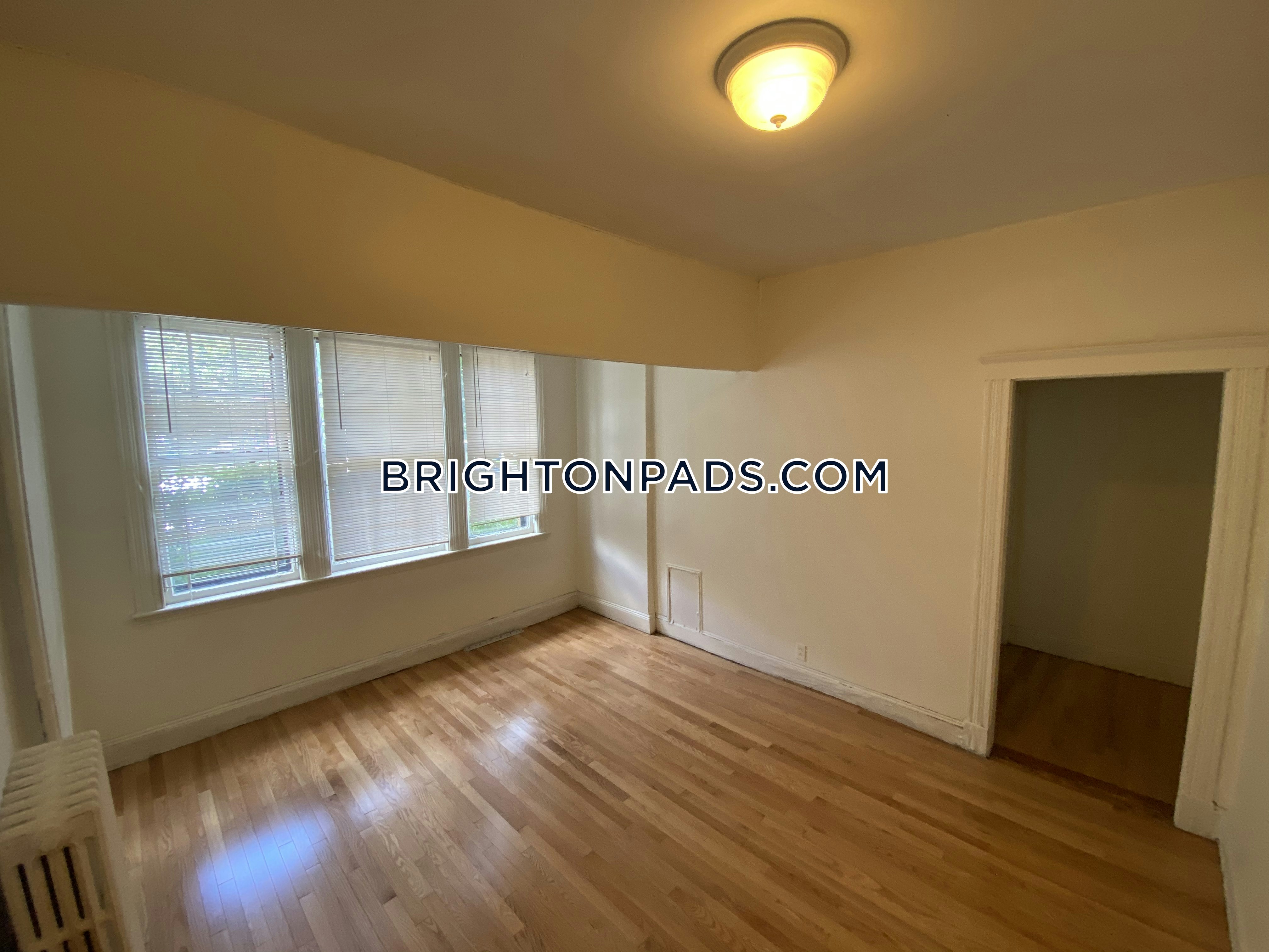 Pet Friendly Apartments Brighton Apartment for rent Studio 1 Bath Boston 1,300