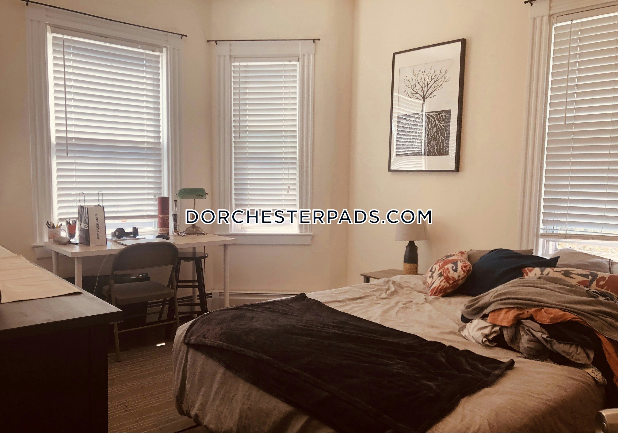 Pet Friendly Apartments Dorchester Newlyrenovated 3 bed 1 bath with