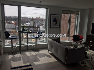 Brighton 2 Beds 2 Baths Boston - $3,975 No Fee