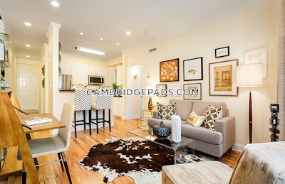 Cambridge Apartment for rent 1 Bedroom 1 Bath  Harvard Square - $3,600 No Fee