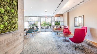 Cambridge Apartment for rent 1 Bedroom 1 Bath  Kendall Square - $4,070 No Fee