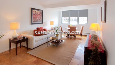 Cambridge Apartment for rent 1 Bedroom 1 Bath  Porter Square - $3,027 No Fee