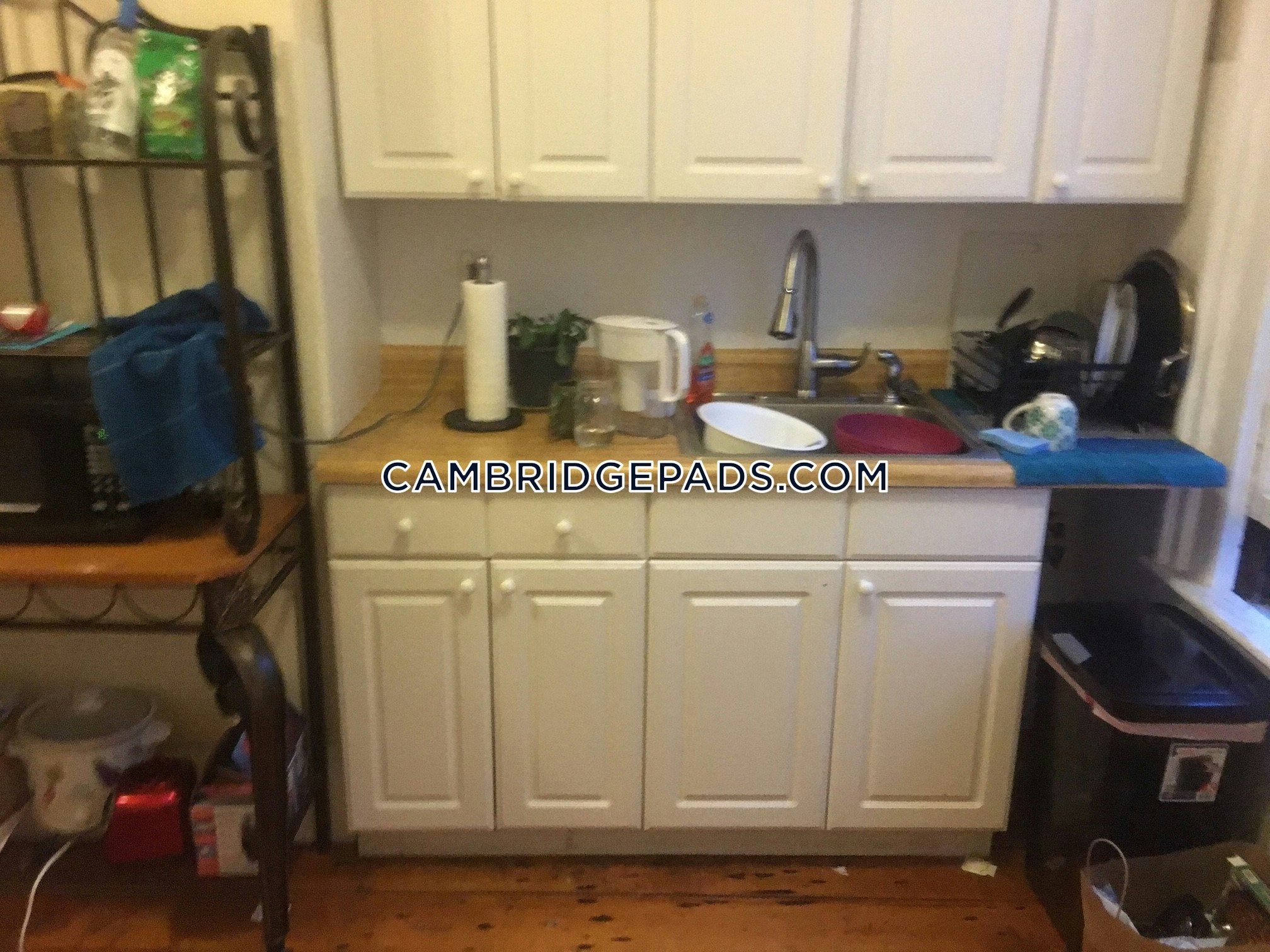 Pet Friendly Apartments Cambridge Awesome 4 bed 1 bath in Porter