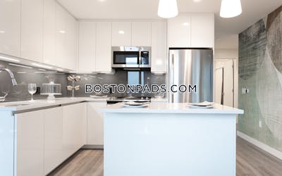 West End Apartment for rent 2 Bedrooms 2 Baths Boston - $12,387