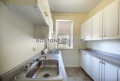 Allston Apartment for rent 1 Bedroom 1 Bath Boston - $2,775