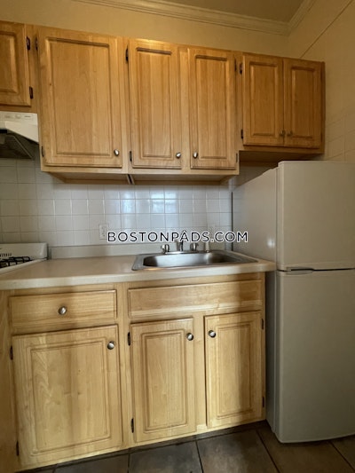 Allston Apartment for rent 1 Bedroom 1 Bath Boston - $2,300