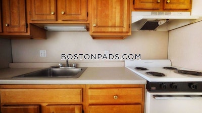 Allston Apartment for rent 1 Bedroom 1 Bath Boston - $3,000